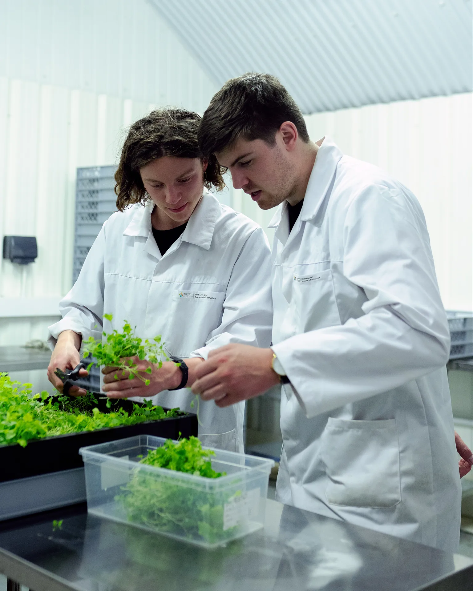 Core Labs | lab technicians 3