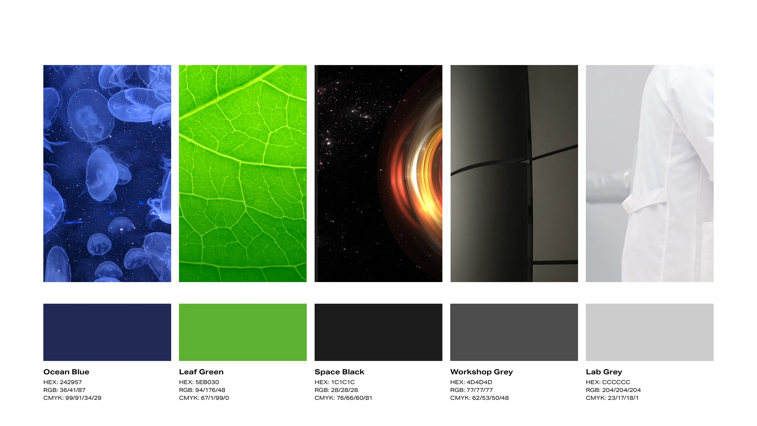 Core Labs | brand colours