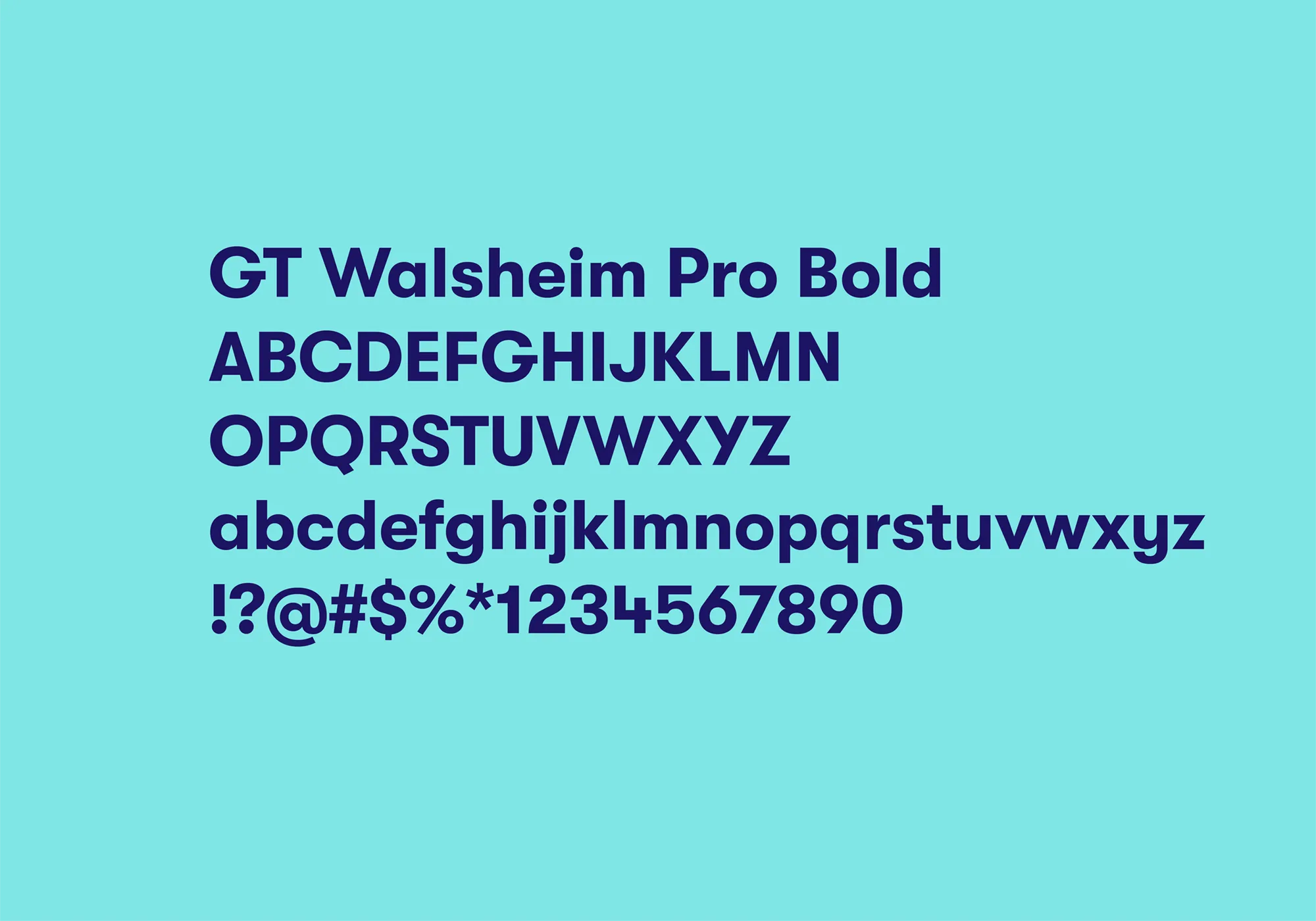 Wondershop | typography